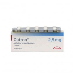 Гутрон таблетки 2,5 мг. №20 в Новочебоксарске и области фото